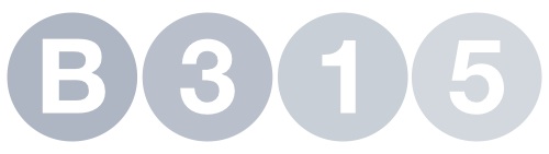 b315 logo